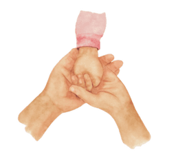 Orientación y Acompañamiento a Familias